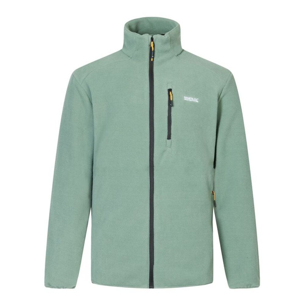 Regatta Mens Brinnden Full Zip Fleece / Dark Forest Green